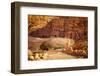 Petra, Jordan-silver-john-Framed Photographic Print