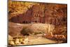 Petra, Jordan-silver-john-Mounted Photographic Print