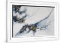Gramercy White