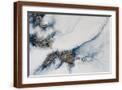 Brown Frame