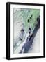 Black Frame