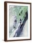 Brown Frame
