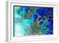 White Frame