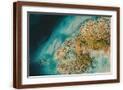 Brown Frame