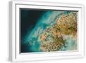 White Frame