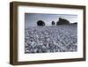 Petra Tou Romiou (Aphrodite's Rock) Pissouri Bay Pebble Beach, Near Paphos, Cyprus, March 2009-Lilja-Framed Photographic Print