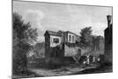 Wood Mount