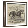 Petrarch, the Winner of the St Leger-null-Framed Giclee Print