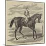 Petrarch, the Winner of the St Leger-null-Mounted Giclee Print