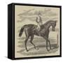 Petrarch, the Winner of the St Leger-null-Framed Stretched Canvas