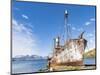 Petrel whale catcher. Grytviken Whaling Station, South Georgia Island-Martin Zwick-Mounted Photographic Print