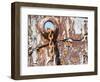 Petrel whale catcher. Grytviken Whaling Station, South Georgia Island-Martin Zwick-Framed Photographic Print