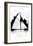 Petrel-Charles P. Kunhardt-Framed Art Print