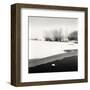 Petrie Island, Study #1-Andrew Ren-Framed Art Print