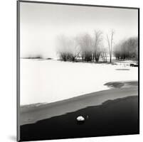 Petrie Island, Study, no. 1-Andrew Ren-Mounted Giclee Print