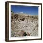 Petrified Forest, Arizona, United States of America, North America-Tony Gervis-Framed Photographic Print