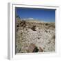 Petrified Forest, Arizona, United States of America, North America-Tony Gervis-Framed Photographic Print