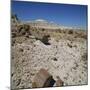 Petrified Forest, Arizona, United States of America, North America-Tony Gervis-Mounted Photographic Print