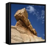 Petrified Forest in Arizona, United States of America, North America-Tony Gervis-Framed Stretched Canvas