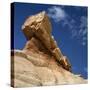 Petrified Forest in Arizona, United States of America, North America-Tony Gervis-Stretched Canvas