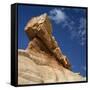 Petrified Forest in Arizona, United States of America, North America-Tony Gervis-Framed Stretched Canvas