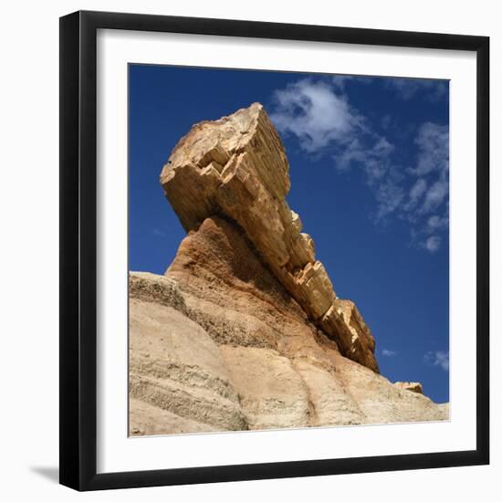 Petrified Forest in Arizona, United States of America, North America-Tony Gervis-Framed Premium Photographic Print