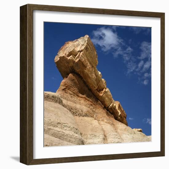 Petrified Forest in Arizona, United States of America, North America-Tony Gervis-Framed Photographic Print