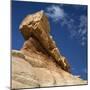 Petrified Forest in Arizona, United States of America, North America-Tony Gervis-Mounted Photographic Print
