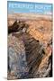 Petrified Forest National Park, Arizona - Daytime Close Up-Lantern Press-Mounted Art Print