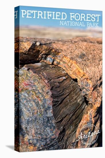 Petrified Forest National Park, Arizona - Daytime Close Up-Lantern Press-Stretched Canvas