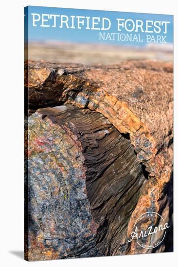 Petrified Forest National Park, Arizona - Daytime Close Up-Lantern Press-Stretched Canvas