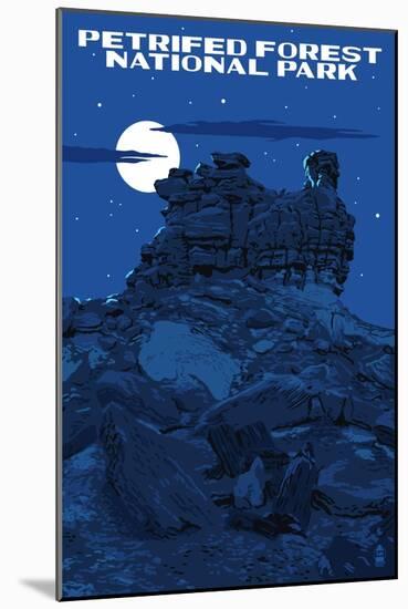 Petrified Forest National Park, Arizona - Night Sky-Lantern Press-Mounted Art Print
