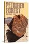 Petrified Forest National Park, Arizona - Petrified Wood Close Up-Lantern Press-Stretched Canvas