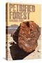 Petrified Forest National Park, Arizona - Petrified Wood Close Up-Lantern Press-Stretched Canvas