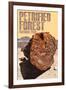 Petrified Forest National Park, Arizona - Petrified Wood Close Up-Lantern Press-Framed Art Print