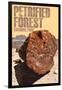 Petrified Forest National Park, Arizona - Petrified Wood Close Up-Lantern Press-Framed Art Print