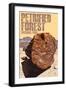 Petrified Forest National Park, Arizona - Petrified Wood Close Up-Lantern Press-Framed Art Print
