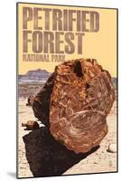 Petrified Forest National Park, Arizona - Petrified Wood Close Up-Lantern Press-Mounted Art Print