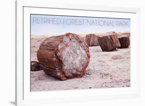 Petrified Forest National Park, Arizona - Petrified Wood-Lantern Press-Framed Art Print