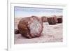 Petrified Forest National Park, Arizona - Petrified Wood-Lantern Press-Framed Art Print