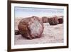 Petrified Forest National Park, Arizona - Petrified Wood-Lantern Press-Framed Art Print