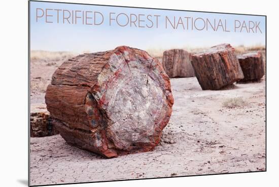 Petrified Forest National Park, Arizona - Petrified Wood-Lantern Press-Mounted Art Print