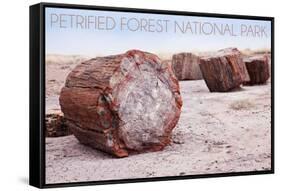 Petrified Forest National Park, Arizona - Petrified Wood-Lantern Press-Framed Stretched Canvas
