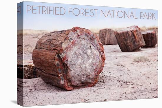 Petrified Forest National Park, Arizona - Petrified Wood-Lantern Press-Stretched Canvas