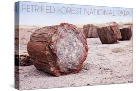 Petrified Forest National Park, Arizona - Petrified Wood-Lantern Press-Stretched Canvas