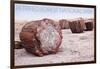 Petrified Forest National Park, Arizona - Petrified Wood-Lantern Press-Framed Art Print