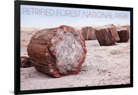 Petrified Forest National Park, Arizona - Petrified Wood-Lantern Press-Framed Art Print