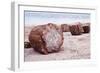 Petrified Forest National Park, Arizona - Petrified Wood-Lantern Press-Framed Art Print