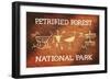 Petrified Forest National Park, Arizona - Petroglyphs-Lantern Press-Framed Art Print