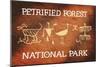 Petrified Forest National Park, Arizona - Petroglyphs-Lantern Press-Mounted Art Print